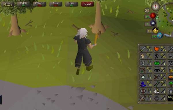 Just asking for a few tips from RuneScape