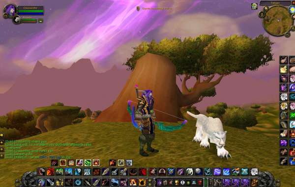 This is a silly question, but did you get the hunter trainer quest pet?