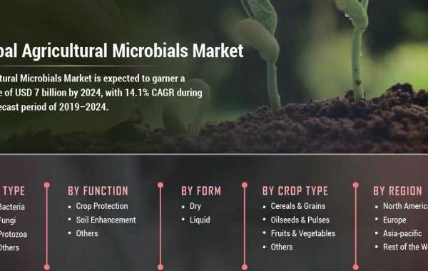 Agricultural Microbials Type Market Analysis, Size, Share, Growth, Trends And Forecast 2030