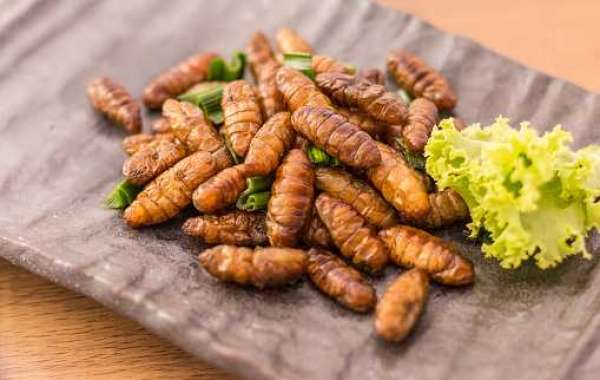 Edible Insects Market Share, Growth, Size, Regional Demand, Competitor, Insights Overview