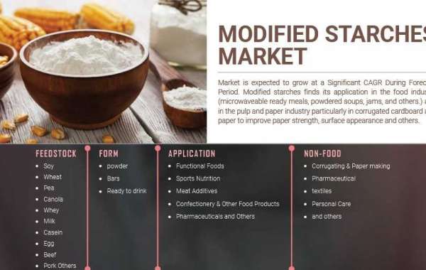 Modified Starch Market Forecast Likely To Touch New Heights By End Of Forecast Period To 2030