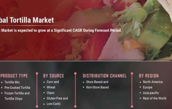 Tortilla Market Revenue Set To Record Exponential Growth By 2030