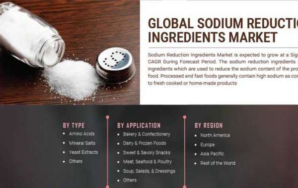 Sodium Reduction Ingredients Market Analysis A Competitive Landscape And Professional Industry Survey 2030