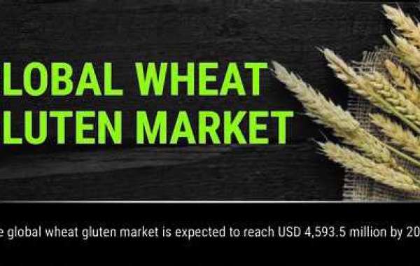 Wheat Gluten Market Suppliers Likely To Touch New Heights By End Of Forecast Period To 2030