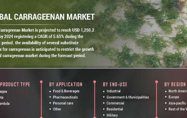 Carrageenan Market by Application Research Revealing The Growth Rate And Business Opportunities To 2027