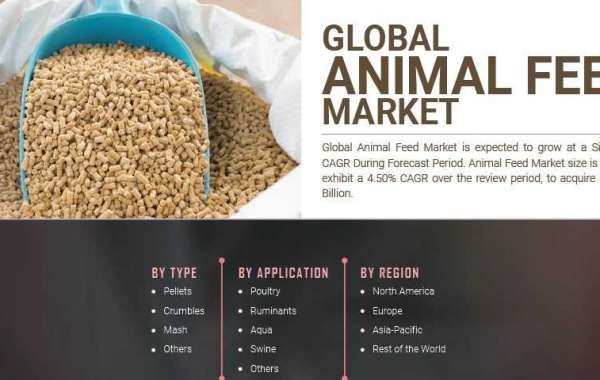Cattle Feed Market Size and Analysis, Trends, Recent Developments, and Forecast Till 2027