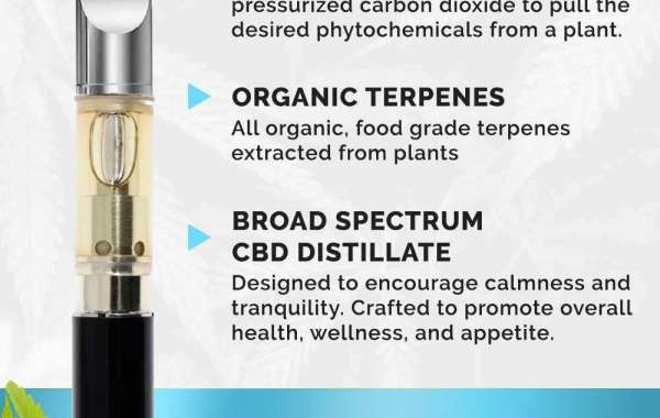 Apply CBD Carts Order To Gather All Vital Details
