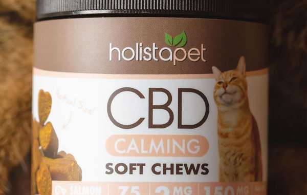 Highly Informative Details Regarding CBD Calming Chews For Cats