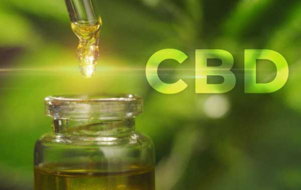 Best Possible Details Shared About CBD Oil