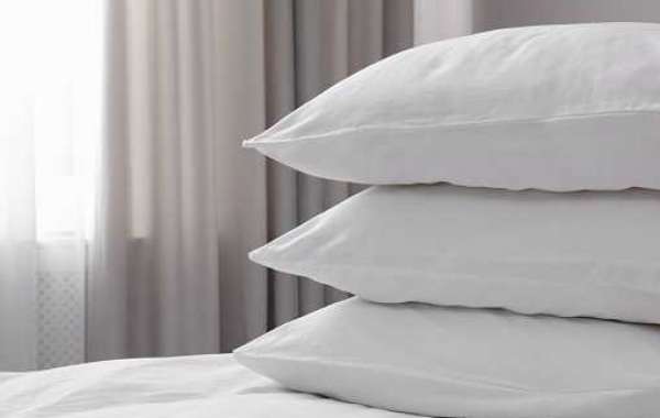 Sleeping Pillows Market Statistics, Forecast, Key Player, Revenue, Regional Demand, Share