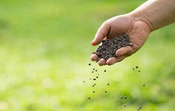 Fertilizer Additives Technology Industry Revenue, Share, Key Player, Regional Demand, Forecast