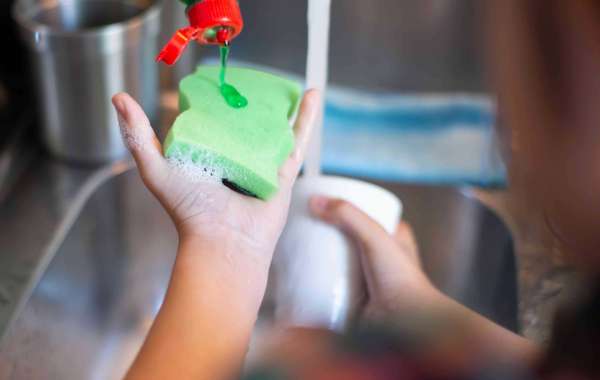 Dishwashing Detergents Market Size Will Observe Substantial Growth By 2030