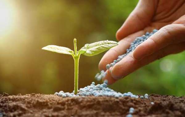 Controlled-Release Fertilizers Market Regional Growth, Top Companies, Insights