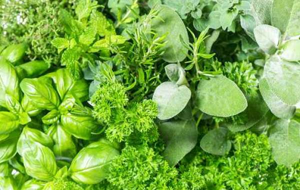 Fresh Herbs Market Growth with Business Prospects with Overview of Competitor
