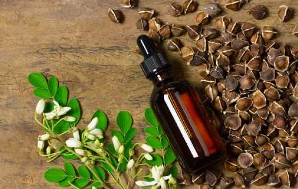 Moringa Products Market Share, Countries and Forecast Period