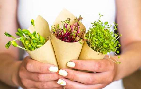 Microgreens Market Outlook of Top Companies, Regional Share, and Province Forecast 2030