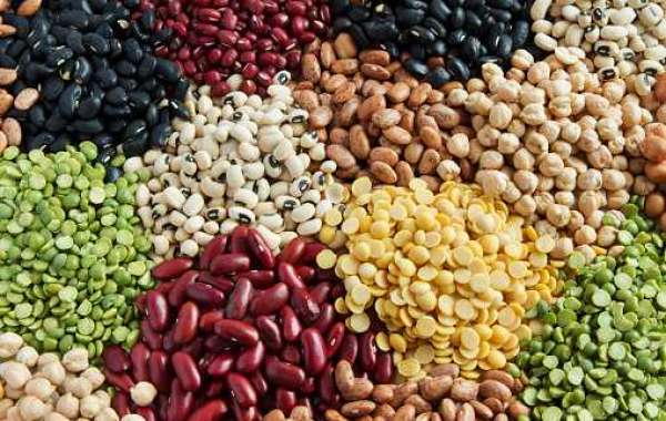 Fruits and Vegetable Seeds Market Research, Growth Analysis on Latest Trends and Forecast By 2030