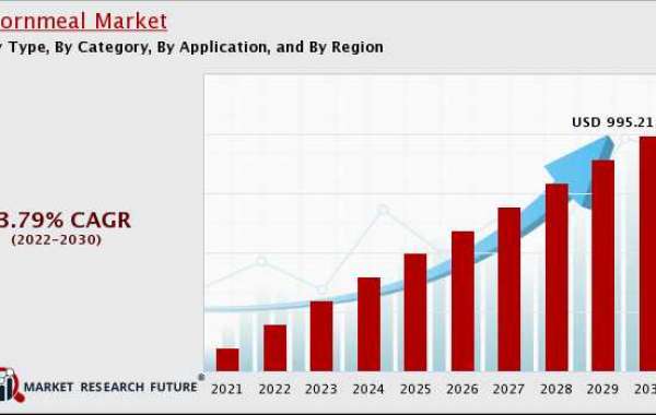 Cornmeal Market Outlook, by Top Key Players, Types, Applications and Future Forecast to 2030