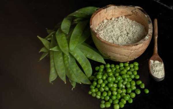 Key Pea Protein Market Players Revenue, Growth Factors, Trends, Key Companies, Forecast To 2030
