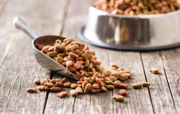 Key Pet Food Ingredients Market Players, Regional Trends and Opportunities, Revenue Analysis, For 2030