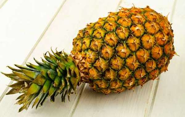 Bromelain Market Overview with Application, Drivers, Regional Revenue, and Forecast 2027
