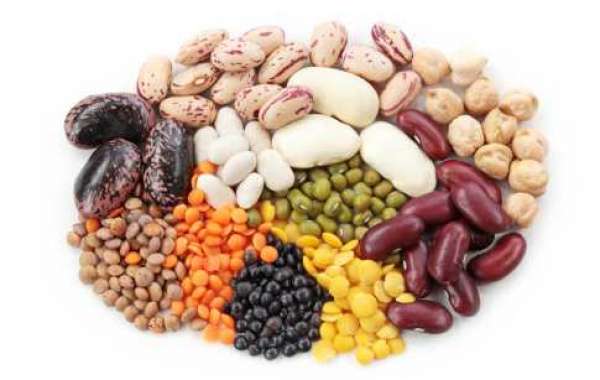 Legumes Market Outlook, Share | Factors Contributing to Growth and Forecast up to 2030