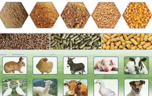 Key Poultry Feed Market Players Share, Trends & Forecast to 2030