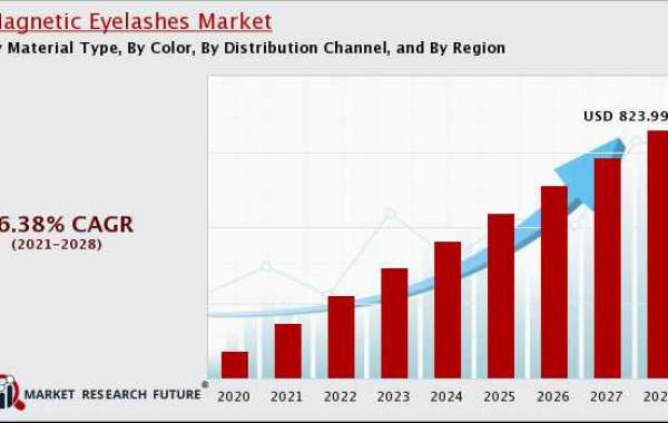 Magnetic Eyelashes Market Insights, Emerging Trend, Top Companies, Industry Demand and Regional Analysis