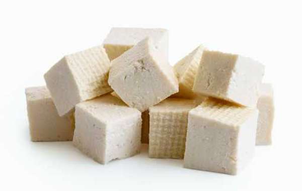 Tofu Market Report Current and Future Demand, Analysis, Growth, Segmentation, Demand and Supply forecast year 2030