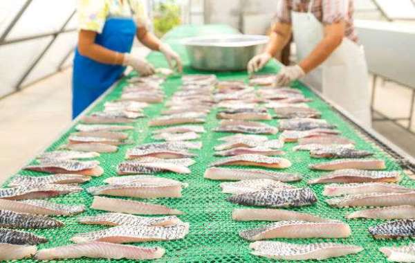 Seafood Processing Market Report Globally Expected to Drive Growth through 2027