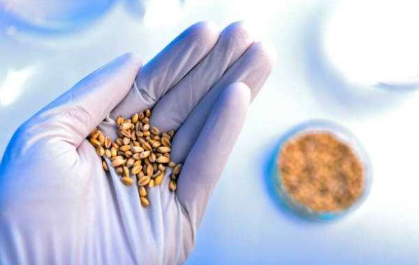 Transgenic Seeds Market Overview, Trends, Scope, Growth Analysis and Industry Forecast Till 2030