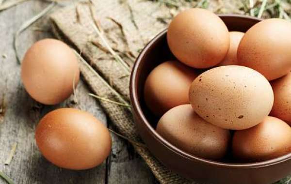Egg Products Market Share, Top Competitor, Regional Portfolio, and Forecast 2030