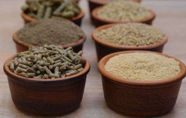Animal Feed Market Research, Revenue, Company Profile, Key Trend Analysis & Forecast 2030