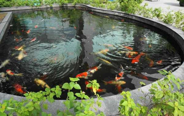 The Benefits of Adding a Pond to Your San Diego Garden