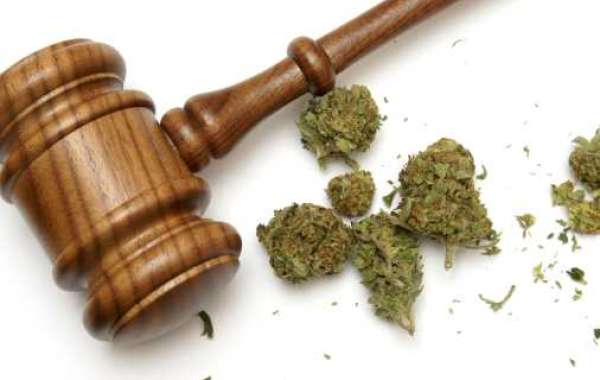 Legal Marijuana Market Outlook on Rising Application, Trends & Potential Growth during the forecast period 2030