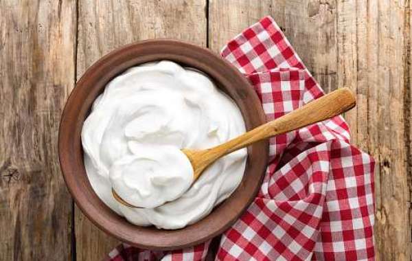 Dairy Cream Market Report: Statistics, Growth, and Forecast 2028