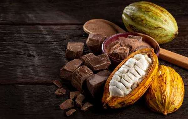 Cocoa Chocolate Market Gross Margin by Profit Ratio of Region, and Forecast 2030