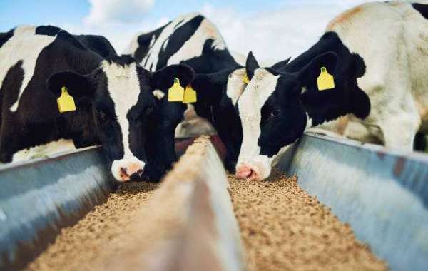 Animal Feed Market: Investment, Key Drivers, Gross Margin, and Forecast 2030