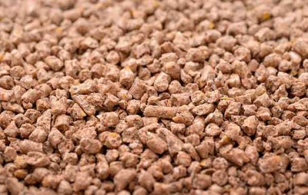 Compound Feed Market with Top Companies, Gross Margin, and Forecast 2030