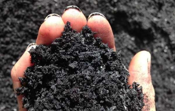 Biochar Market Forecast 2023-2030 Global Analysis By Type, Size, Product and Geography