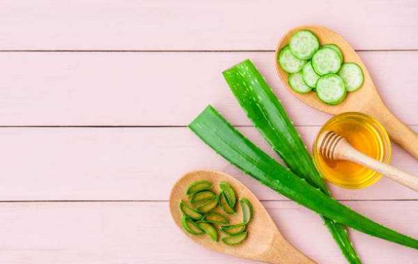 Aloe Vera Products Market Share Revenue, Growth Factors, Trends, Key Companies, Forecast To 2030