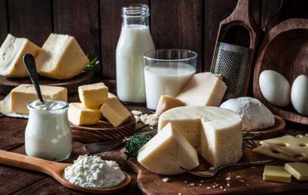Dairy Ingredients Market Overview by Business Prospects and Forecast 2032