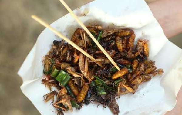 Insect Snacks Market Statistics, Development and Trends, Growth Rate, Key Companies, Regional Analysis forecast year 203