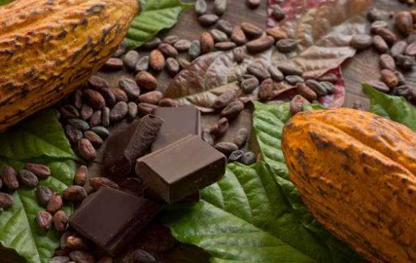 Organic Cocoa Market Share Volume Forecast And Value Chain Analysis 2030