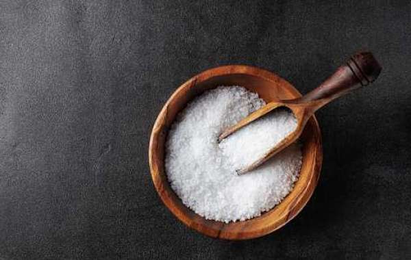 Gourmet Salt Key Market Players by Product and Consumption, and Forecast 2032