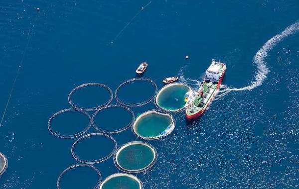 Aquaculture Market To Reflect Impressive Growth Rate By 2030