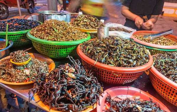 Edible Insects Market Study Top Key Players, Application, Growth Analysis And Forecasts To 2032
