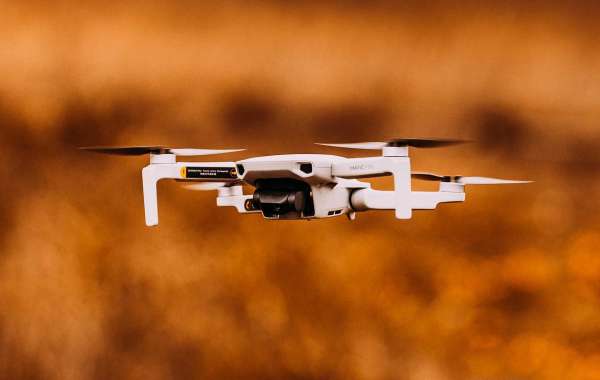 Small UAV Market Insight Growth, Trends, Competitive Share & Forecast 2020-2030