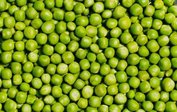 Pea Starch Market Outlook: Competitor, Regional Revenue, and Forecast 2030