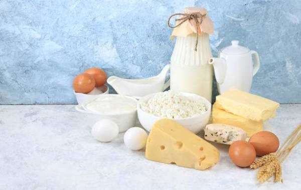 Lactose-Free Butter Market Regulations And Competitive Landscape Outlook To 2028